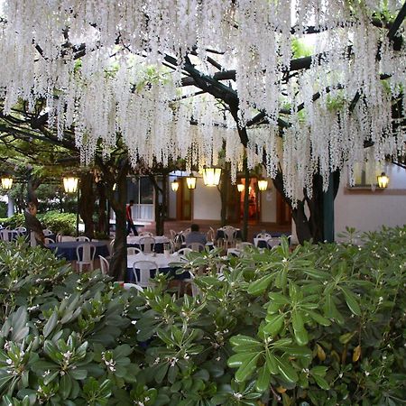 Albergo Ristorante Papa Пескиера дел Гарда Екстериор снимка