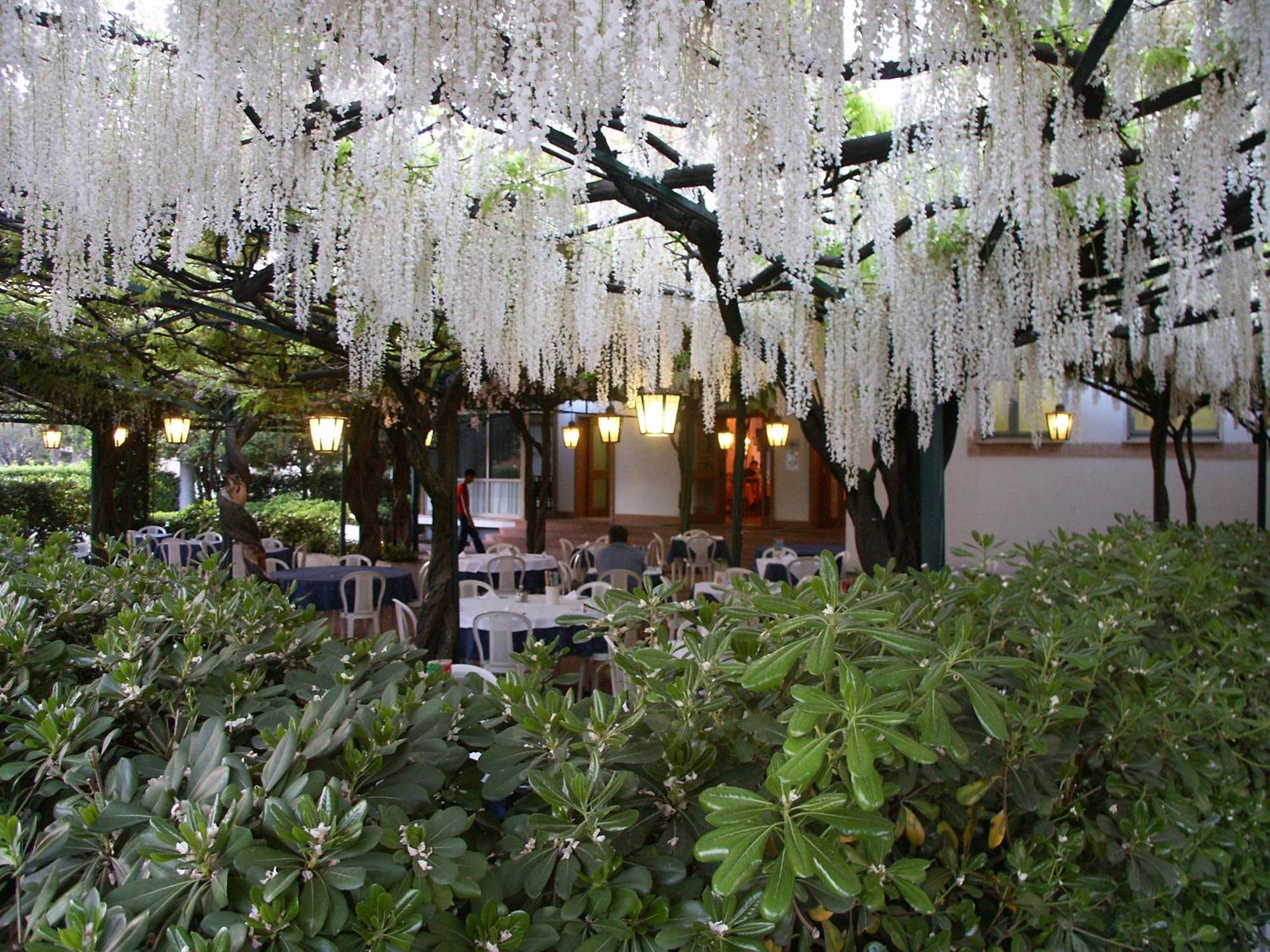 Albergo Ristorante Papa Пескиера дел Гарда Екстериор снимка